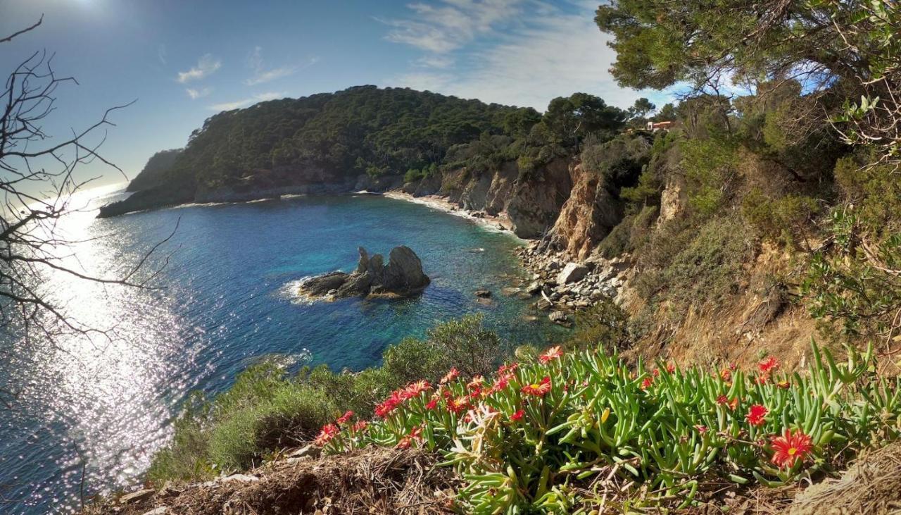 Studio Proche Port Et Plages, Piscine Hyères Екстериор снимка